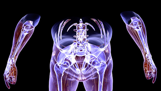3D wireframe model of woman’s body. Isolated on black background.