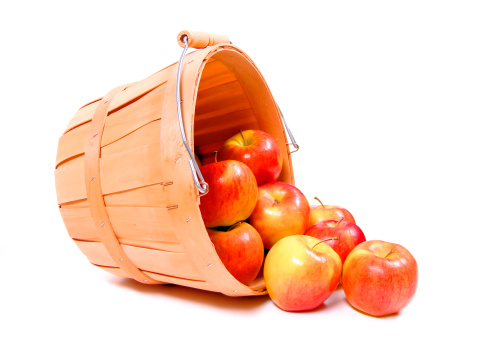 Apples spilling from a wooden harvest basket over white