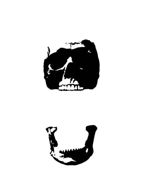 하얀 검은 두개골 턱 떨어지는 열린 치아 펑크 스타일 인쇄 기호 모양 그래픽 - punk stock illustrations
