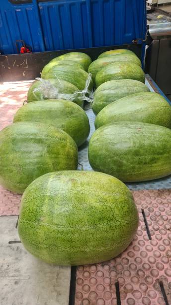 istock a few recently harvested watermelons that will be sold at the market 1494530657