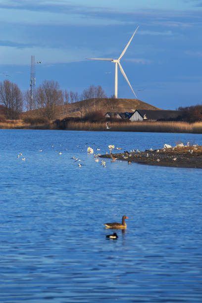 istock Brondby strandpark in Denmark 1494532524