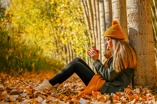 Girl sitting among some autumn trees, looking at the mobile phone