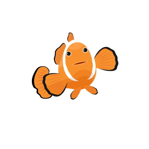 clownfischsymbol im flachen stil isoliert auf weißem hintergrund. meerestiersymbol vektor illustration abbildung. - tropical fish clown fish isolated animal stock-grafiken, -clipart, -cartoons und -symbole