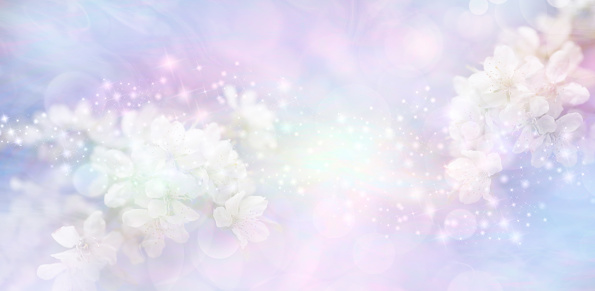 sprigs of white blossom either side of white light explosion of sparkles against pastel bokeh background with space for copy ideal for weddings