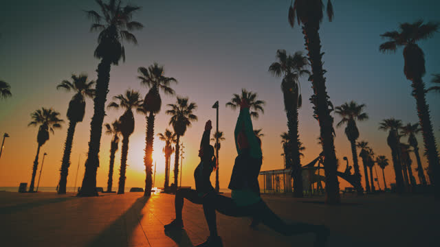 SLO MO Full length of female friends exercising crescent lunge on footpath. Women practicing yoga amidst palm trees. Friends are together during sunrise.