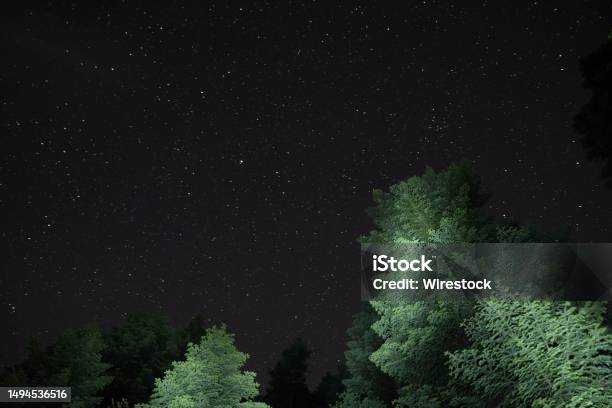 Peaceful Nighttime Scene With Lush Green Trees Silhouetted Against The Starstudded Sky Stock Photo - Download Image Now