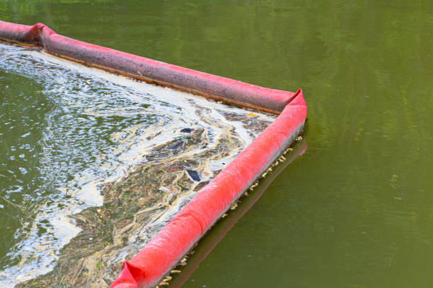 istock cleaning the pond from floating debris and sewage. 1494538665