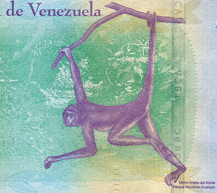 Ateles Pattern Design on Venezuelan Bolivar Currency