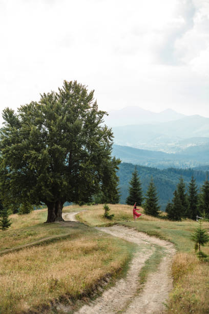 istock woman near old big beech tree in the mountains 1494540873