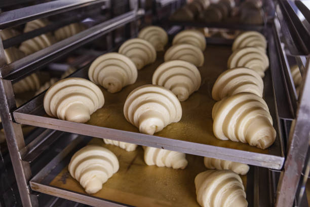 istock proofed croissant dough on a baking sheet in the oven 1494541111