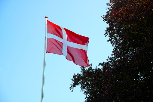 The national Danish flag, known as the Dannebrog, holds deep historical and cultural significance for the Danish people. With its vibrant red background and a simple, elegant Scandinavian cross in white, the flag is instantly recognizable and evokes a sense of national pride.