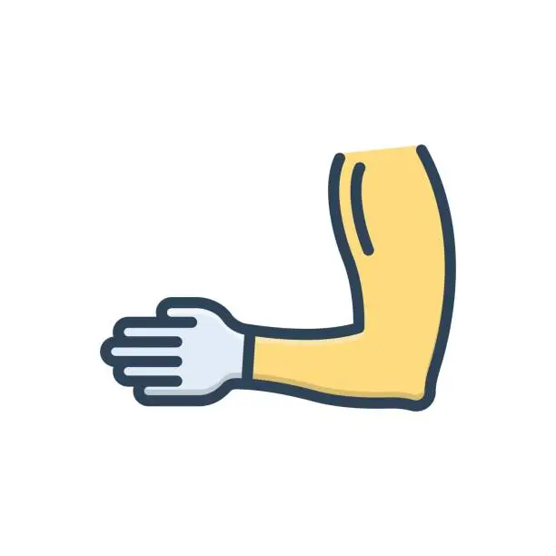 Vector illustration of Arms hand