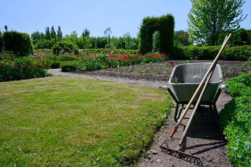 Garden work tools leaning against wheelbarrow. \