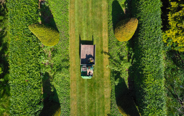 Gardener driving small green tractor in the park \