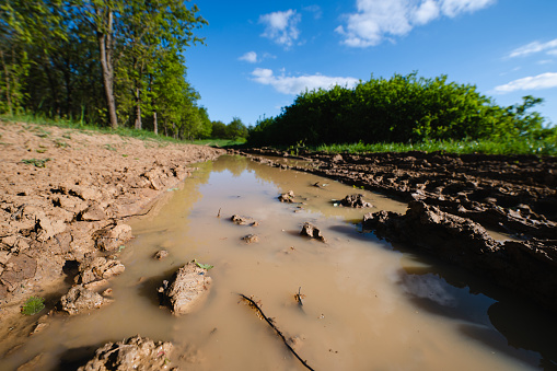 muddy dirt road background