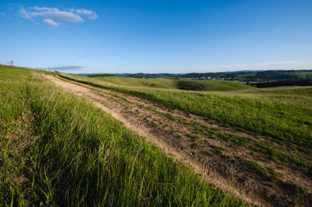 Field of grass and perfect sky background