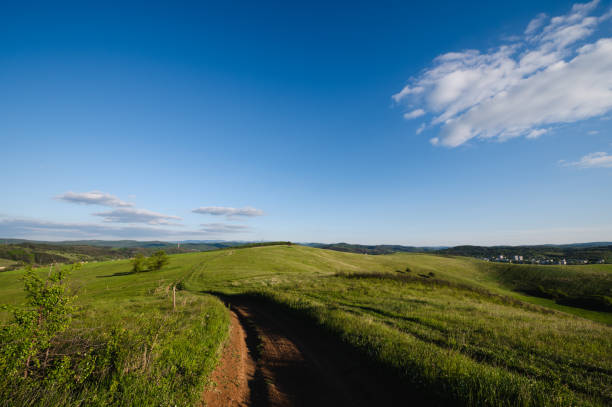 istock Field of grass and perfect sky background 1494546937
