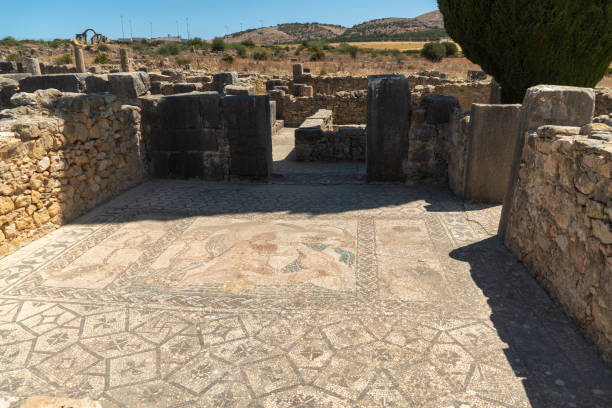 istock Archaeological Site of Volubilis in Morocco 1494548813