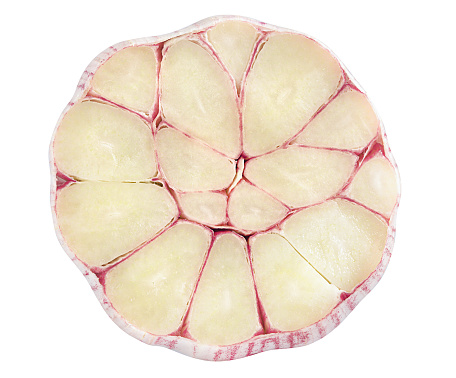 the head of young garlic, cut in half, is highlighted on a white background.