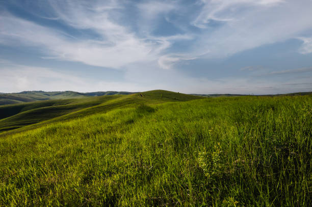 istock Field of grass and perfect sky background 1494549321