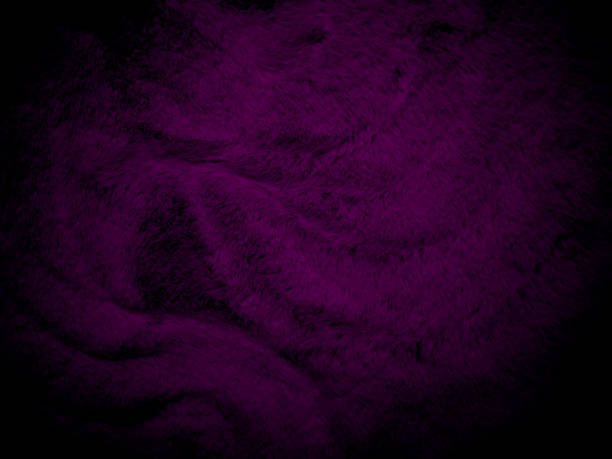 Purple clean wool texture background. light natural sheep wool. serge seamless cotton. texture of fluffy fur for designers. Fabric close up fragment violet flannel haircloth carpet broadcloth.