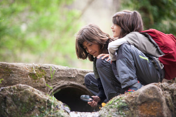istock Fascinating Discovery: Two Children Observing the Stream with Their Magnifying Glass 1494551005