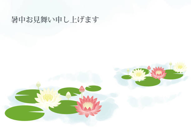 이것은 수련이 만발한 장면의 더운 여름 인사말 엽서 삽화입니다. - floating on water petal white background water stock illustrations