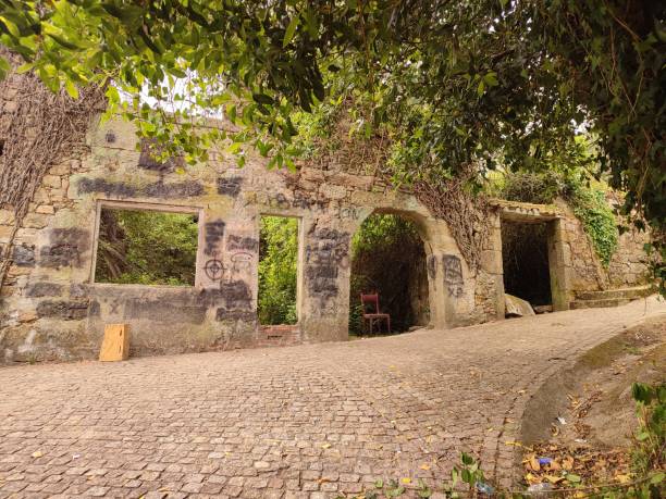 istock ruins of an abandoned house 1494553852