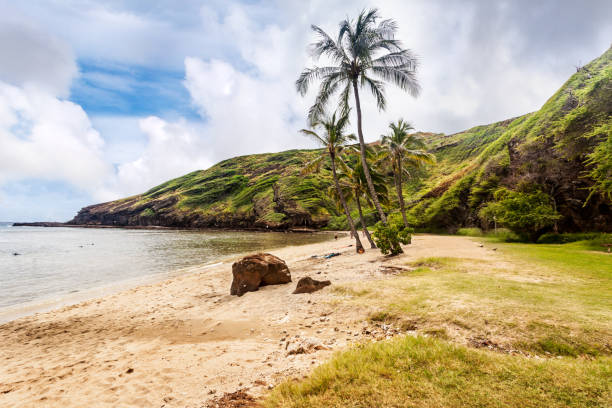 istock Beach at Hanauma Bay 1494556265