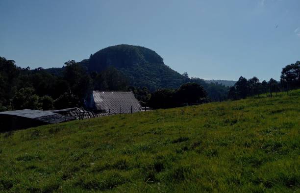 산 - hillock 뉴스 사진 이미지