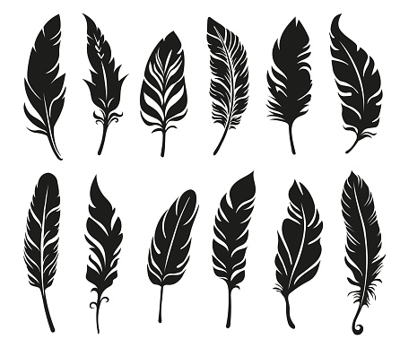 Different vector bird feather silhouettes. Plume collection.