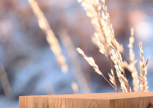 Exhibition podium. Wooden display case for cosmetic products. 3D render. Winter Blurred Background