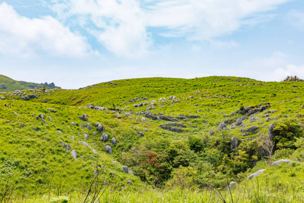 istock Blue sky, fresh green and karst land 1494561947