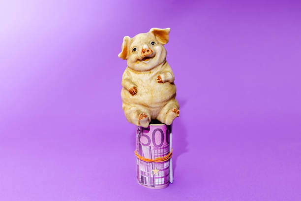 a toy fat piggy sitting on rolled roll five hundred euro money.purple background. - five hundred euro banknote imagens e fotografias de stock