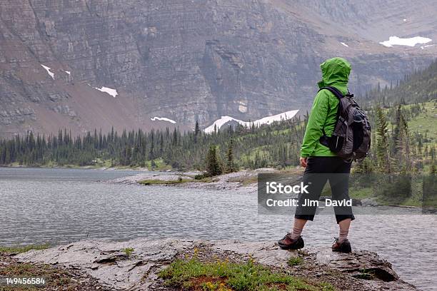 Female Hiker В Осеннего Любования Видом — стоковые фотографии и другие картинки Монтана - Монтана, Пешеходный туризм, Взрослый