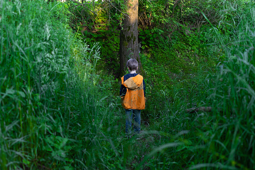 Only One Young Boy in Yellow Jacket Walking in the Forest near Cracov. Poland.