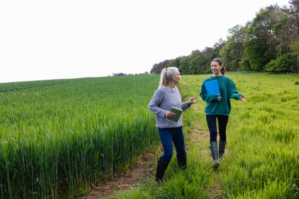 A female farmer in the wheat field on her sustainable farm in Embleton, North East England, she is teaching a trainee female farmer all about the crop in the field while they walk along. The crop is first wheat and is going to be used in low quality flour for baking and will be harvested in early September. They are walking through the conservation headlands which is a space where pollinators are encouraged to go.