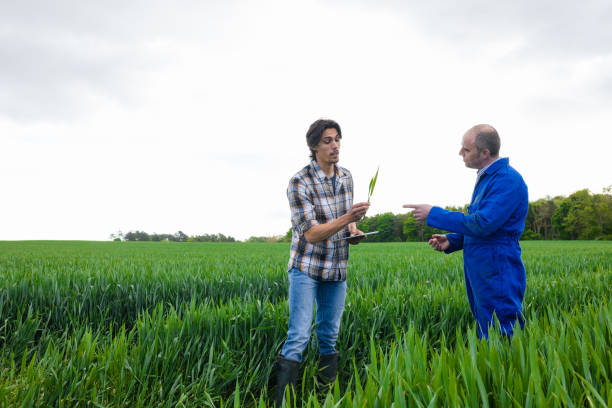 istock Stay Local to Build a Sustainable World 1494571182