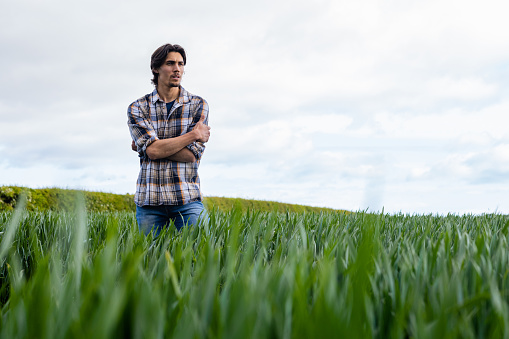 A young farmer standing in an agricultural wheat field at the sustainable farm he works at in Embleton, North East England. He is looking away from the camera with a contented look on his face and his arms crossed. The wheat is first wheat, it will be used for low quality flour in baking and will be harvested in early September.