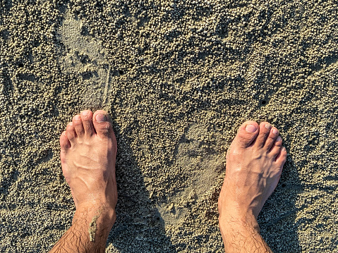 Seaside beach wheel prints and human footprints