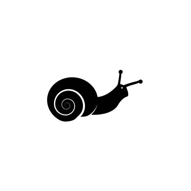 sylwetka ślimaka logo projekty ikon wektor - snail isolated white white background stock illustrations