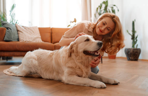 istock Couple with dog at home 1494578361