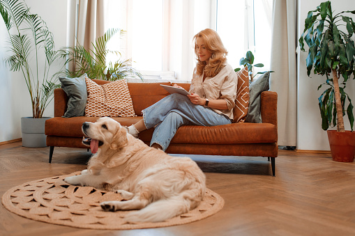 Pretty blond woman sitting on a sofa with a tablet in the living room at home with her labrador dog lying on the floor.