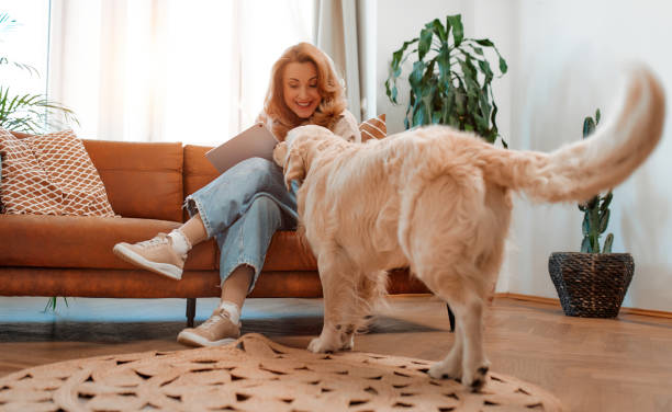 istock Couple with dog at home 1494578380