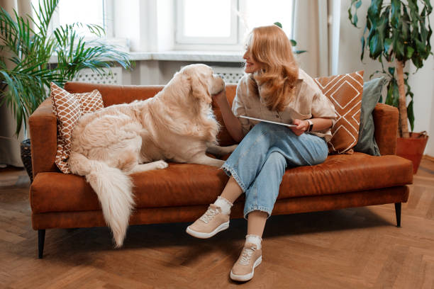 istock Couple with dog at home 1494578396