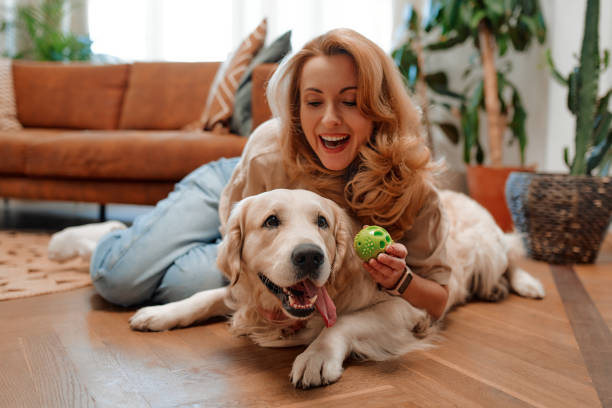 istock Couple with dog at home 1494578443