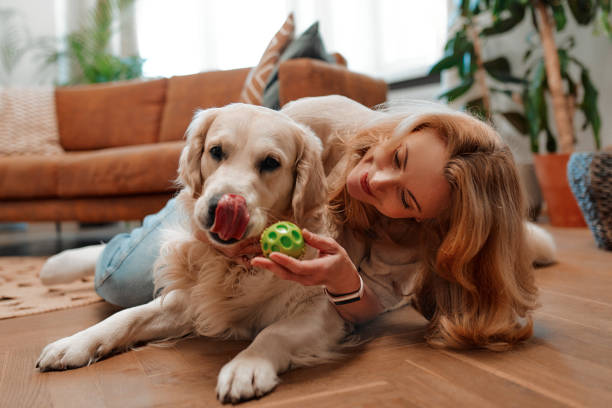 istock Couple with dog at home 1494578445