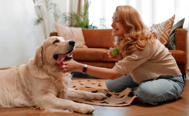 istock Couple with dog at home 1494578455