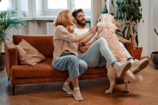 istock Couple with dog at home 1494578593