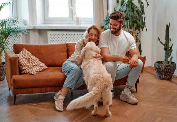 istock Couple with dog at home 1494578609